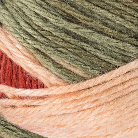 Red Heart Soft Yarn - Discontinued Shades